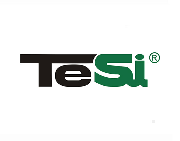 TESI Group Azerbaijan, TESI Group Kazakhstan